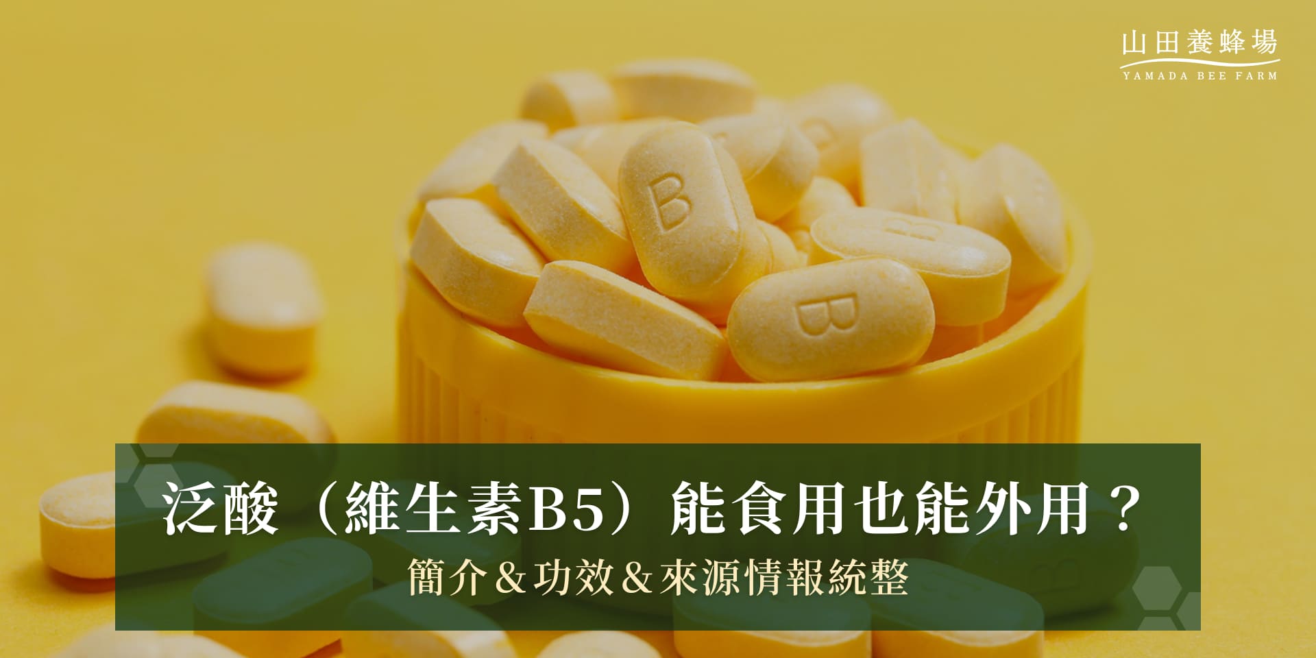泛酸（維生素B5）能食用也能外用？簡介＆功效＆來源情報統整