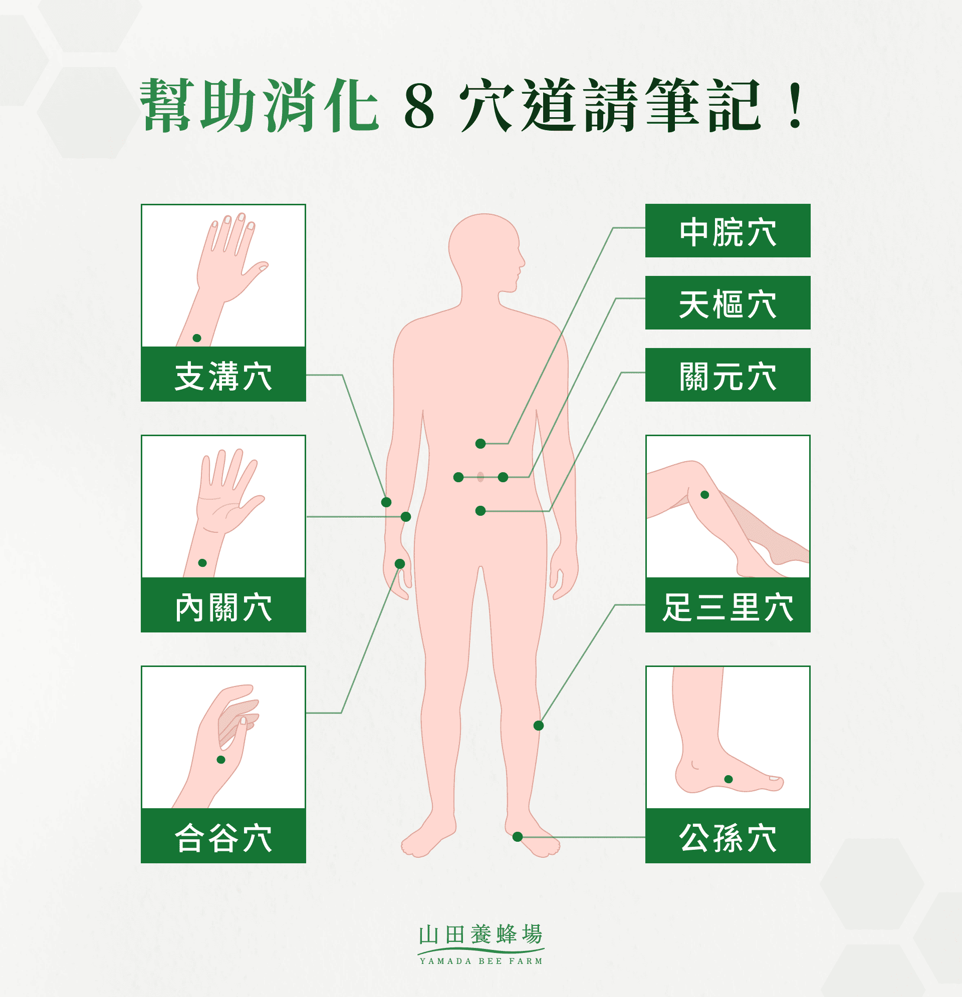幫助消化 8 穴道請筆記！