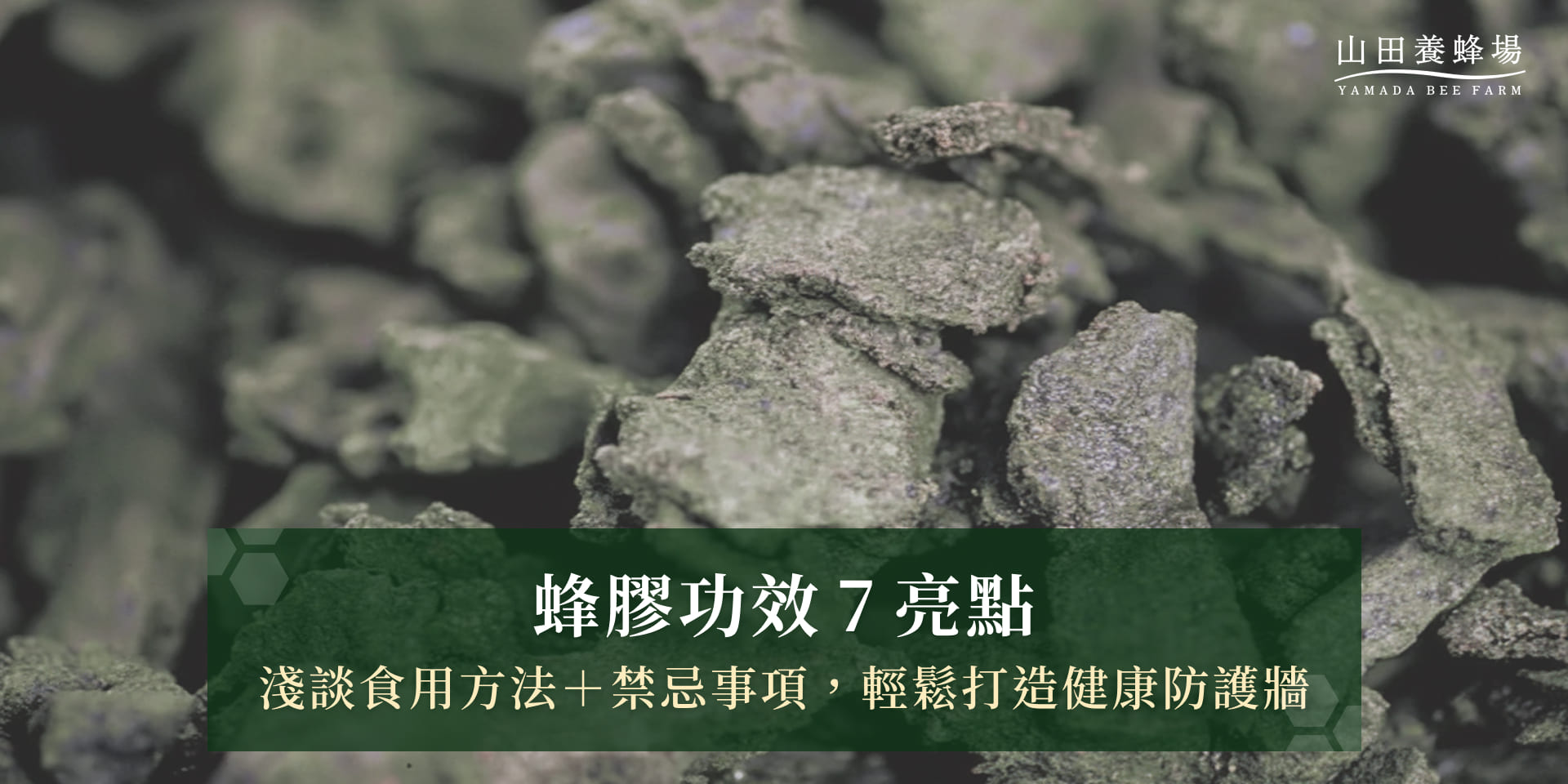 蜂膠功效7亮點：淺談食用方法＋禁忌事項，輕鬆打造健康防護牆