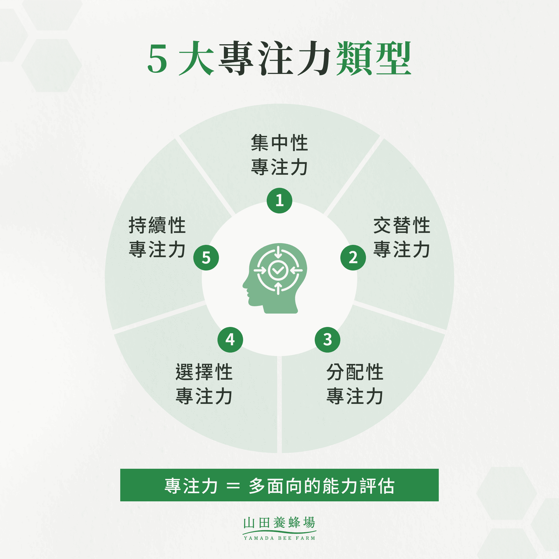 5 大專注力類型