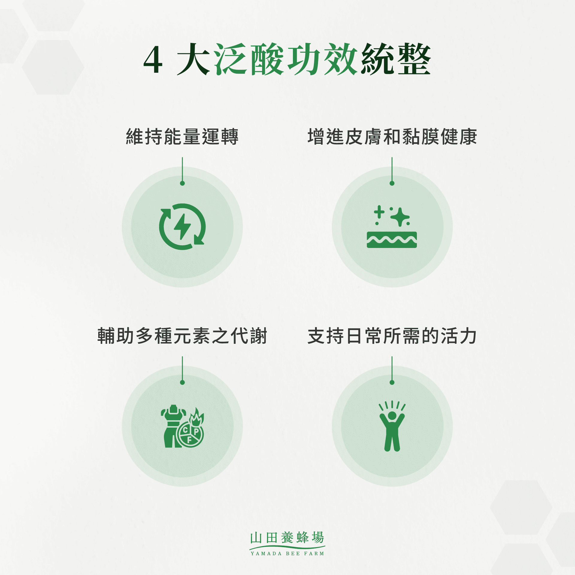 4 大泛酸功效統整